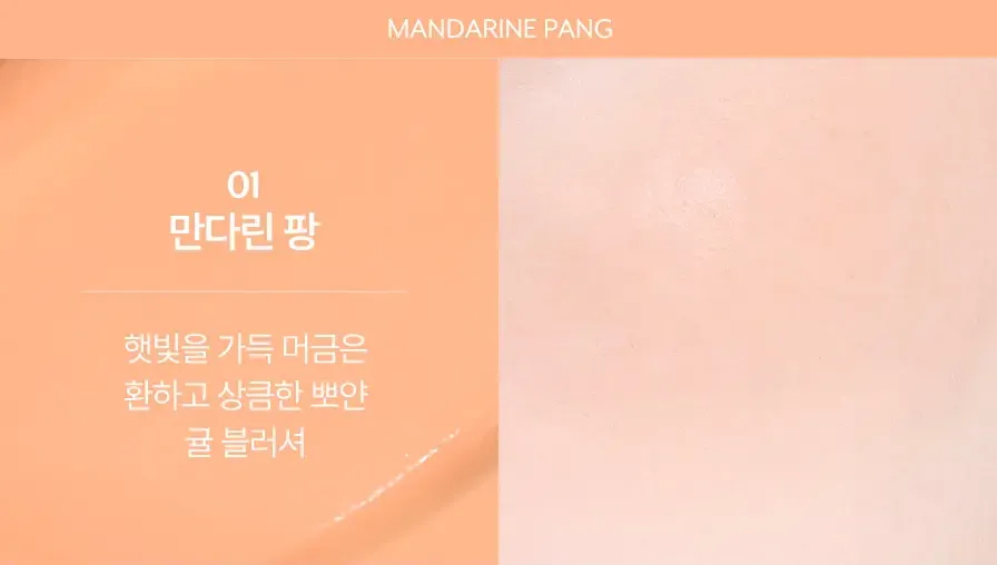 nuse Mousse Care Cheek Handy 10g